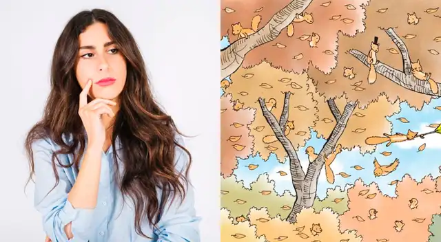 Tienes solo 20 segundos para encontrar a todas las ardillas. Tienes solo 20 segundos para encontrar a todas las ardillas.