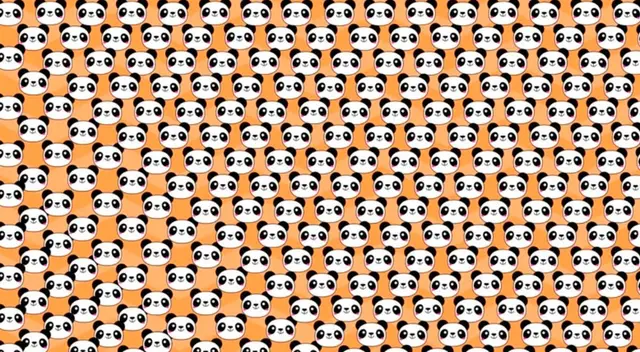 Trata de encontrar la respuesta, no hay límite de tiempo.