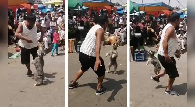 El clip cuenta con miles de reproducciones en TikTok.