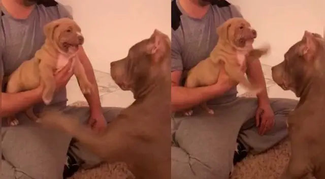 El clip cuenta con miles de reproducciones en Facebook.