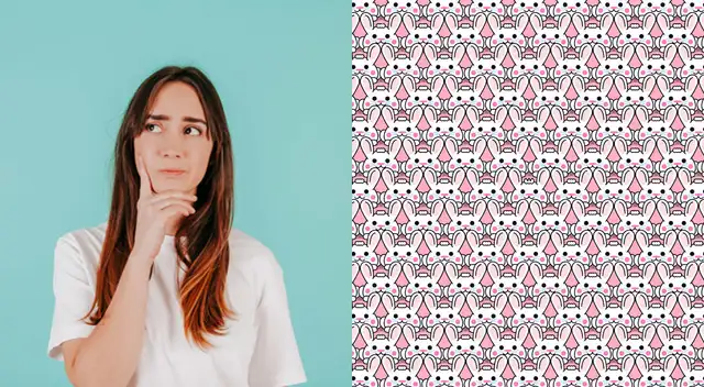 Tienes solo 10 segundos para encontrar la ubicación de los cuatro conejitos. Tienes solo 10 segundos para encontrar la ubicación de los cuatro conejitos.