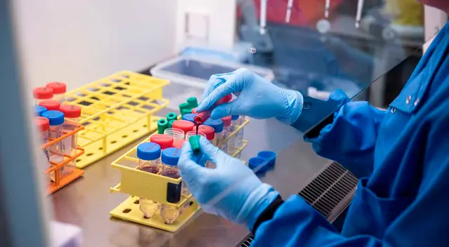 Muestras de sangre de pacientes con coronavirus. Muestras de sangre de pacientes con coronavirus.