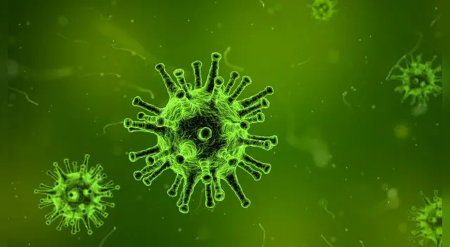 Entérate aquí cómo puedes evitar el contagio del norovirus.