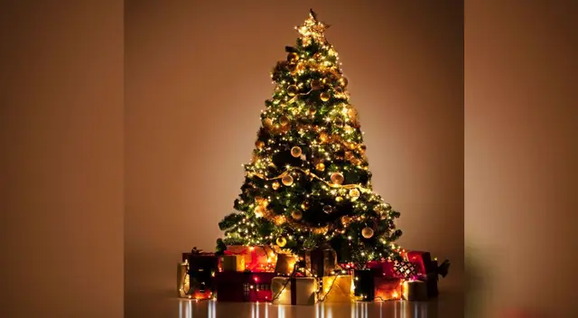 ¿Sabías que el árbol se debe armar el 8 de diciembre? ¿Sabías que el árbol se debe armar el 8 de diciembre?