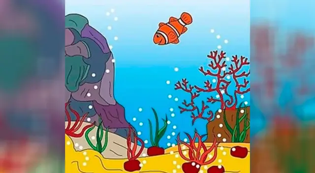 ¿Puedes ver al caballito de mar, el pulpo y el delfín? ¿Puedes ver al caballito de mar, el pulpo y el delfín?