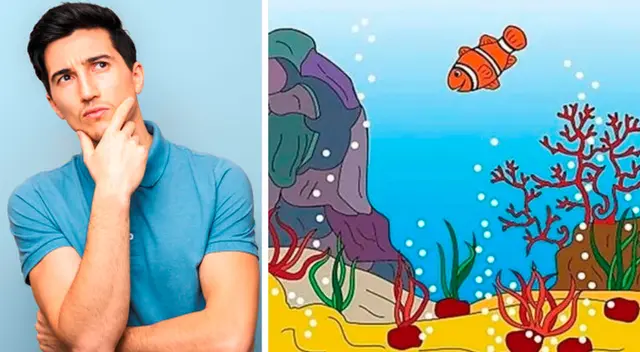 ¿Puedes ver al caballito de mar, el pulpo y el delfín? ¿Puedes ver al caballito de mar, el pulpo y el delfín?