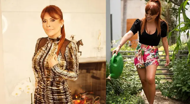 Magaly Medina revela que le gusta la jardinería. Magaly Medina revela que le gusta la jardinería.