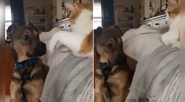 La escena conmovió a miles de internautas en las redes sociales.