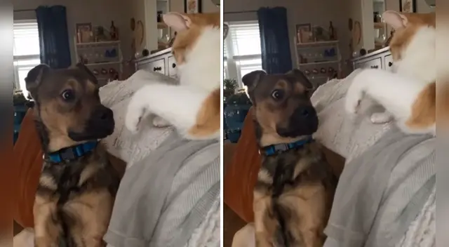 El clip cuenta con miles de reproducciones en YouTube.