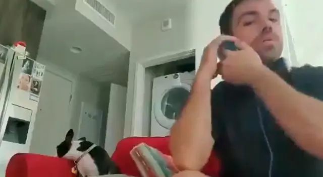 Perrito comienza a ‘molestarse’ cuando escucha que no irá de paseo Perrito comienza a ‘molestarse’ cuando escucha que no irá de paseo