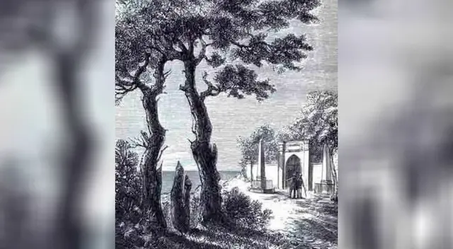 Reto visual solamente para expertos Reto visual solamente para expertos