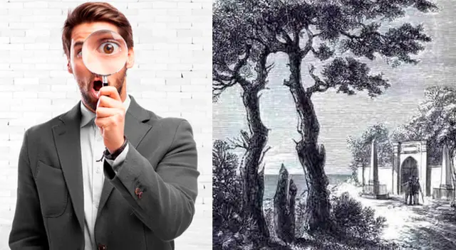 Reto visual solamente para expertos Reto visual solamente para expertos