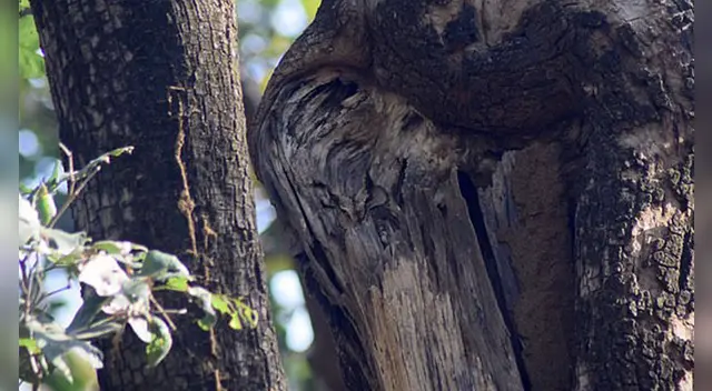Tienes pocos segundos para dar con la respuesta.