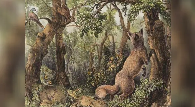 ¿Puedes diferenciar los 16 rostros? ¿Puedes diferenciar los 16 rostros?