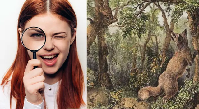 ¿Puedes diferenciar los 16 rostros? ¿Puedes diferenciar los 16 rostros?