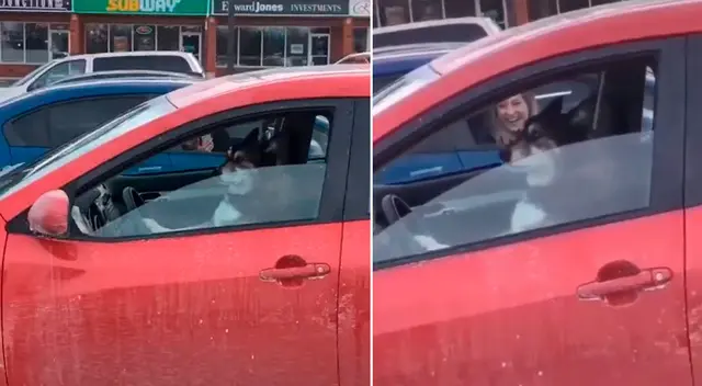 El perrito no se detuvo y tocó el claxon por varios minutos.