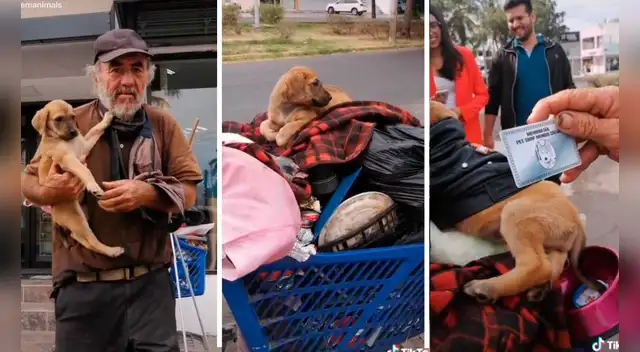La emotiva escena se ha robado el corazón de miles de usuarios en las redes sociales.