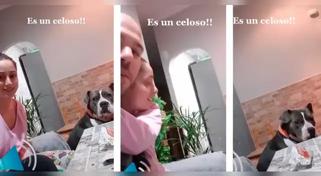 El clip cuenta con miles de reproducciones en TikTok.