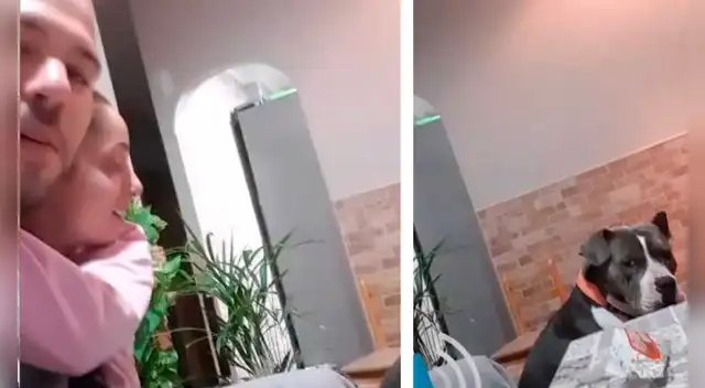 La escena causó la risa de varios usuarios en las redes sociales.