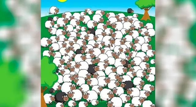 ¿Puedes ver a la oveja dormida y el perro escondido?