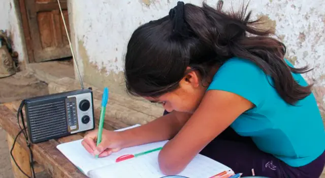 Los estudiantes que no lograron los avances esperados formarán parte de un programa de promoción guiada durante el 2021.