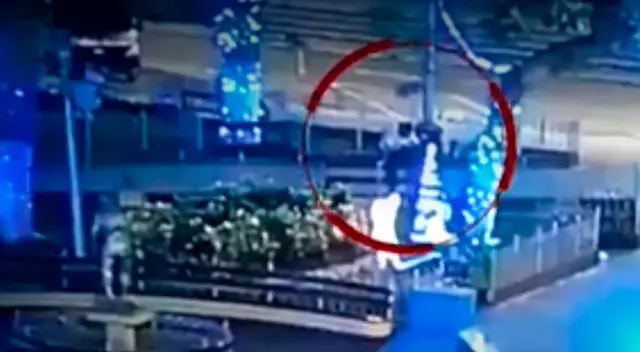 Roban árbol de navidad.