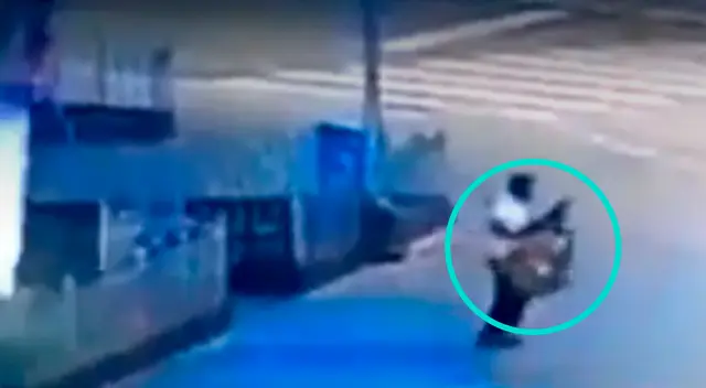 Roban árbol de navidad.