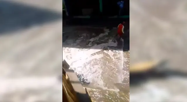 Locales de la zona tuvieron que cerrar sus puertas ante el oleaje anómalo.