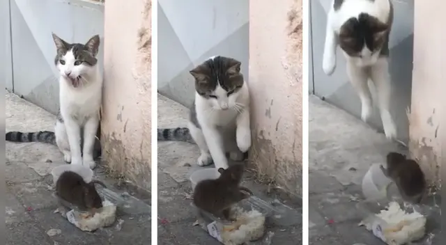 El clip cuenta con miles de reproducciones en Facebook. El clip cuenta con miles de reproducciones en Facebook.