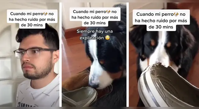 La escena causó la risa de varios usuarios en las redes sociales. La escena causó la risa de varios usuarios en las redes sociales.