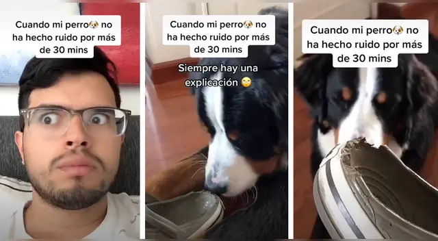 El clip cuenta con miles de reproducciones en TikTok. El clip cuenta con miles de reproducciones en TikTok.