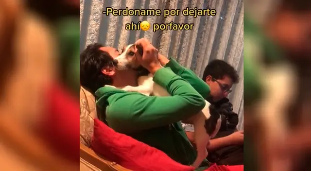 El perrito había extrañado mucho a su dueño El perrito había extrañado mucho a su dueño