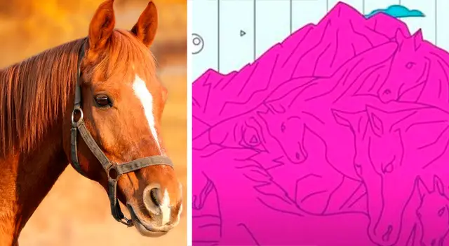 El reto visual que no puedes dejar pasar