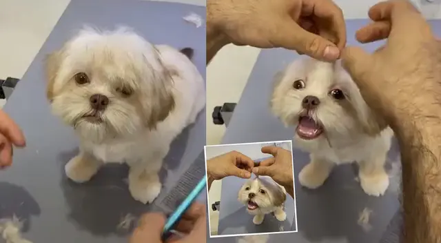 Llamativo TikTok es toda una sensación en las últimas horas.