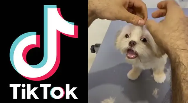 Llamativo TikTok es toda una sensación en las últimas horas.