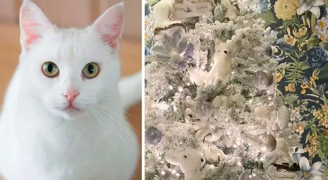 El acertijo visual más complicado