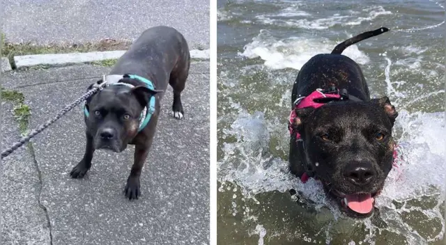 El clip cuenta con miles de reproducciones en YouTube.