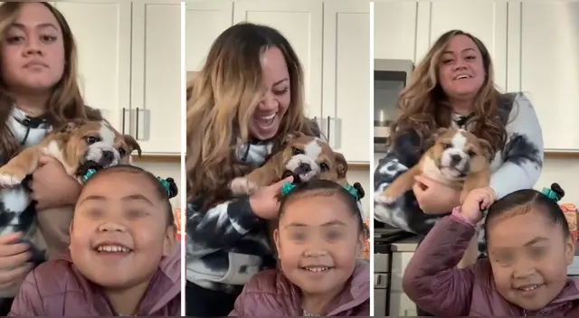 El clip cuenta con miles de reproducciones en TikTok. El clip cuenta con miles de reproducciones en TikTok.