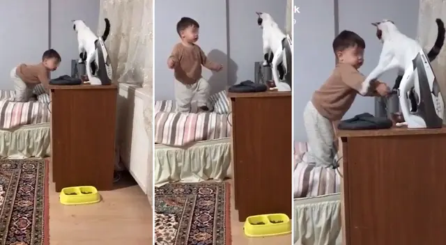 El felino trató de impedir que el bebé le quitara el objeto sobre la mesa. El felino trató de impedir que el bebé le quitara el objeto sobre la mesa.