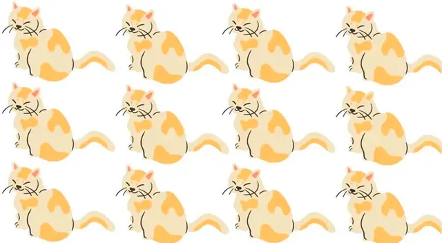 No hay límite de tiempo para hallar la solución de este desafío de Facebook.