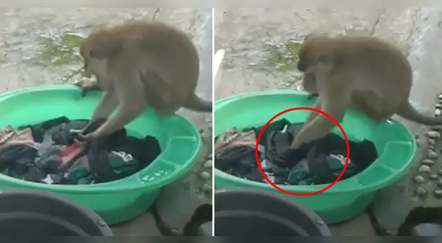 El clip cuenta con miles de reproducciones en Facebook. El clip cuenta con miles de reproducciones en Facebook.