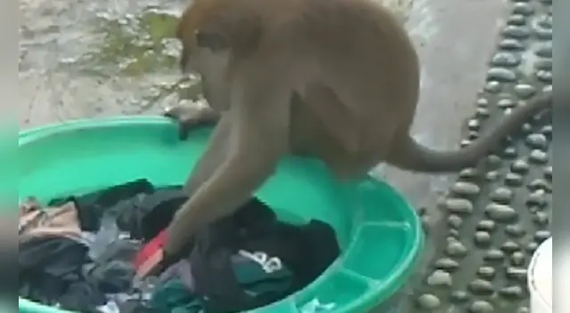 La escena se ha robado el corazón de miles de usuarios en las redes sociales. La escena se ha robado el corazón de miles de usuarios en las redes sociales.