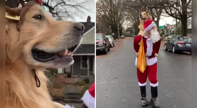 La escena se ha robado el corazón de miles de usuarios en las redes sociales. La escena se ha robado el corazón de miles de usuarios en las redes sociales.