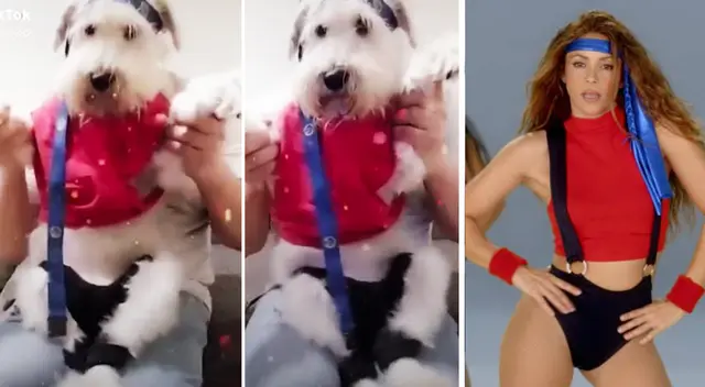 La escena causó la risa de varios usuarios en las redes sociales. La escena causó la risa de varios usuarios en las redes sociales.