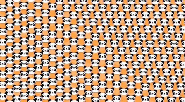 Reto visual: encuentra al panda triste.