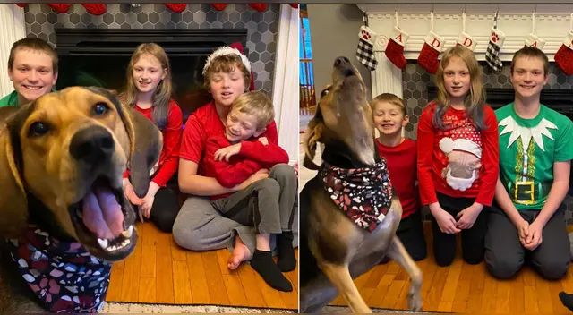 La escena causó la risa de varios usuarios en las redes sociales. La escena causó la risa de varios usuarios en las redes sociales.