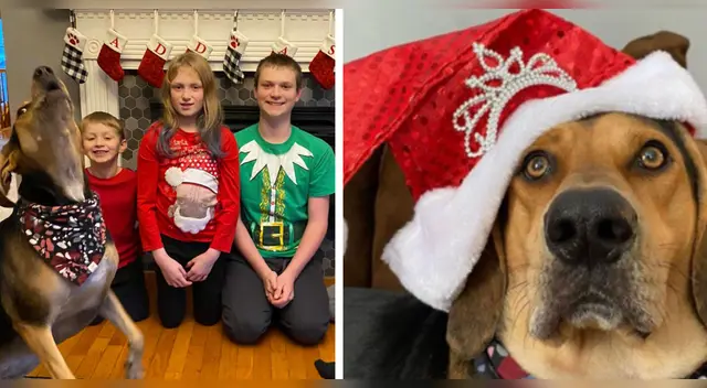 La publicación de Facebook cuenta con miles de reacciones y cientos de comentarios. La publicación de Facebook cuenta con miles de reacciones y cientos de comentarios.