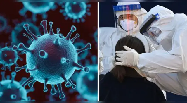 La nueva cepa del virus SARS-CoV-2, causante de la COVID-19, fue hallada en Reino Unido.