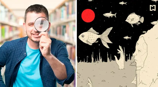 Encuentra los objetos perdidos en la imagen