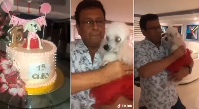 La perrita bailó junto a su dueño. La perrita bailó junto a su dueño.